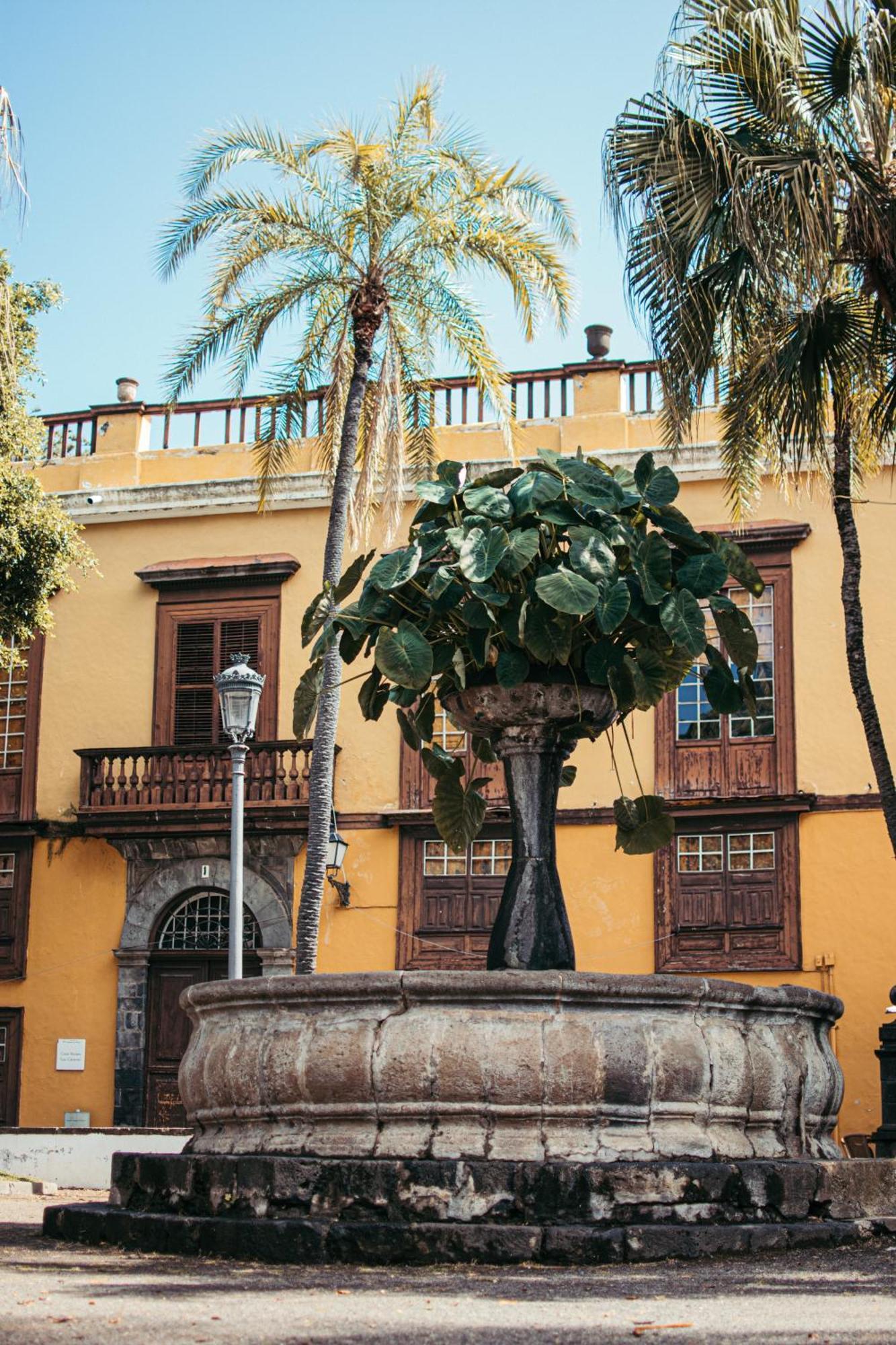 Las Casitas Del Bebedero - Yoga & Ecoturismo Icod De Los Vinos Luaran gambar